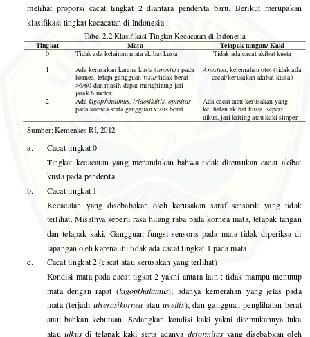 Tabel 2.2 Klasifikasi Tingkat Kecacatan di Indonesia 
