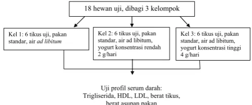 Gambar 1. Diagram alir proses pembuatan yogurt