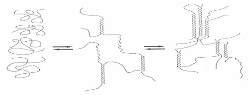 Gambar 10 . Proses pembentukan gel karagenan (BeMiller dan Whistler 1996) 