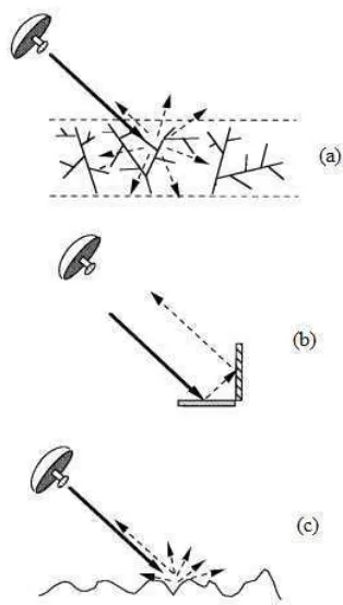 Gambar 2 Ilustrasi tiga meknisme   scattering dasar: (a) canopy scatter, (b) double-bounce scatter, (c) surface scatter (Freeman dan Durlen 1998)