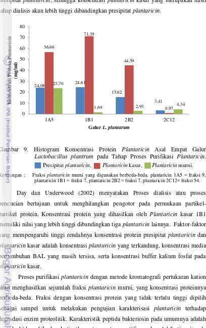 Gambar 9. Histogram Konsentrasi Protein Plantaricin Asal Empat Galur 