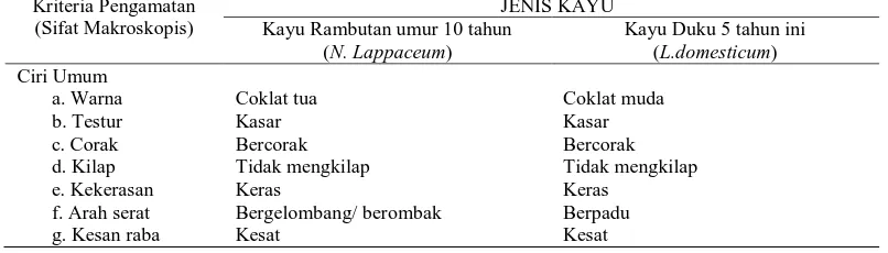 Tabel 19. Pengamatan Sifat Makroskopis Kayu Rambutan Dan Kayu Duku Kriteria Pengamatan   JENIS KAYU 