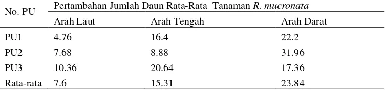 Tabel 4.Pertambahan jumlah daun rata-rata  tanamanR. mucronata 