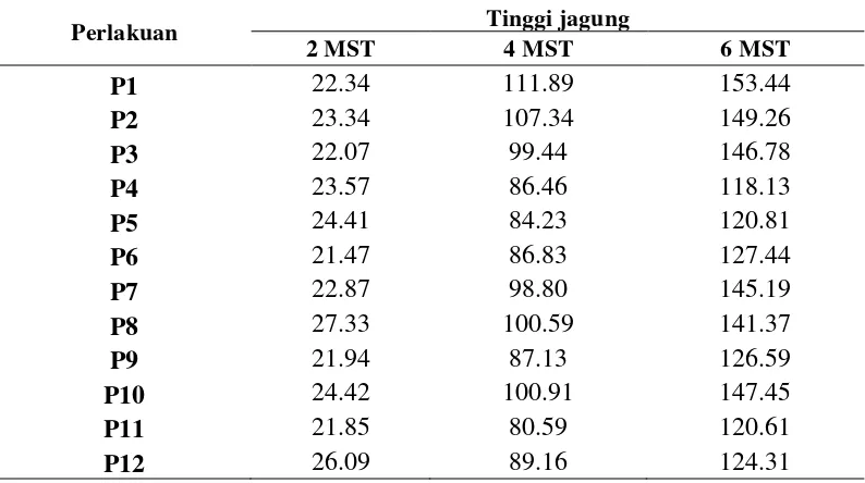 Tabel 1. Rataan tinggi jagung (cm) pada pengukuran 2, 4 dan 6 MST  