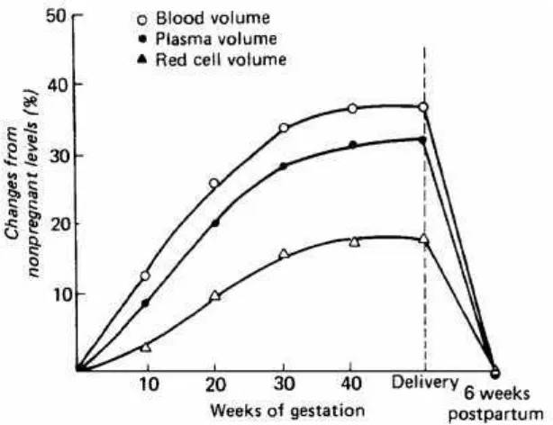 Gambar 2.1 Perubahan volume darah selama kehamilan dan masa 