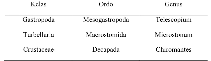 Tabel 3. Jenis-jenis makrobentos yang ditemukan di dalam kantong serasah daun C. tagal 