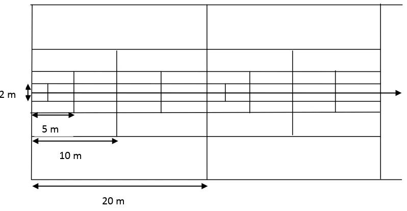 Gambar 2. Desain Metode Jalur 