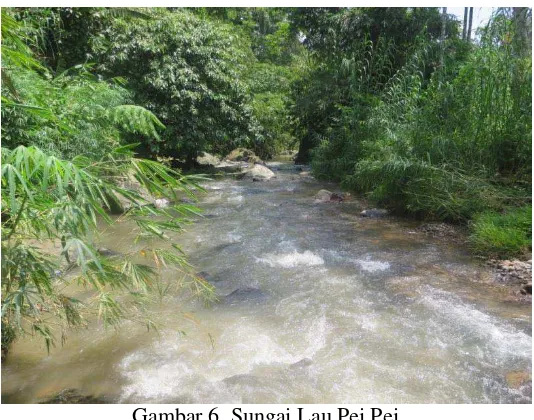 Gambar 6. Sungai Lau Pei Pei 