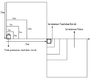 Gambar 1. Desain Plot Tumbuhan Bawah 