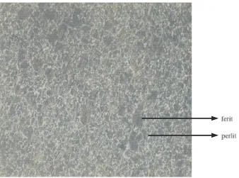 Gambar 4.3 Mikrostruktur baja karbon menengah NS-1045 tanpa perlakuan 
