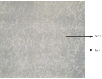 Gambar 4.4 Mikrostruktur baja karbon menengah NS-1045 pada proses karburasi 