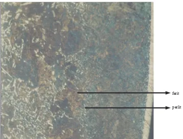 Gambar 4.6 Mikrostruktur baja karbon menengah NS-1045 pada proses karburasi  