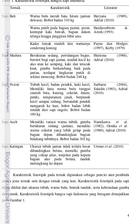 Tabel 1. Karakteristik Fenotipik Bangsa Sapi Indonesia 