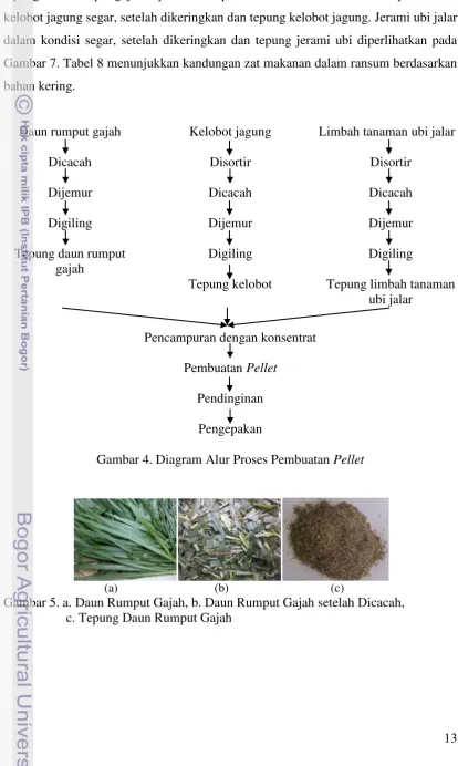 Gambar 7. Tabel 8 menunjukkan kandungan zat makanan dalam ransum berdasarkan 