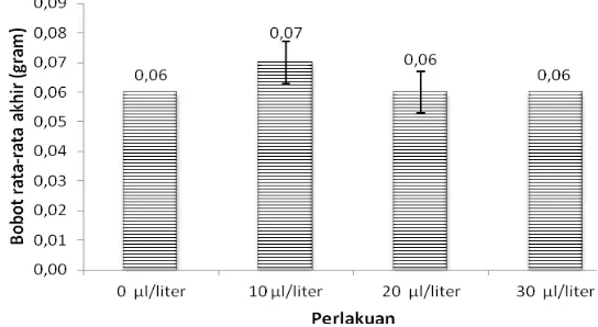 Gambar 4 Bobot rata-rata akhir ikan cupang pada maskulinisasi dengan ekstrak  purwoceng melalui perendaman embrio 