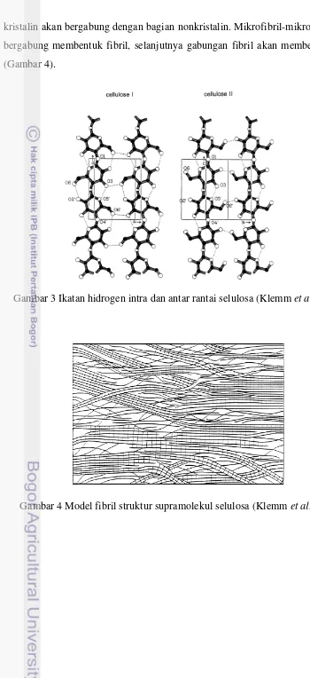 Gambar 3 Ikatan hidrogen intra dan antar rantai selulosa (Klemm et al. 1998). 