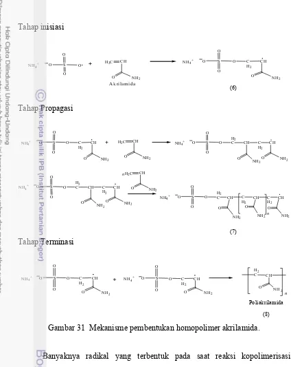 Gambar 31  Mekanisme pembentukan homopolimer akrilamida. 