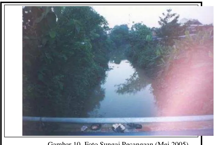 Gambar 10. Foto Sungai Pecangaan (Mei 2005)  