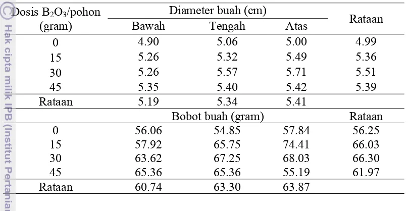 Tabel 3. Pengaruh letak bagian tanaman terhadap diameter dan bobot buah 