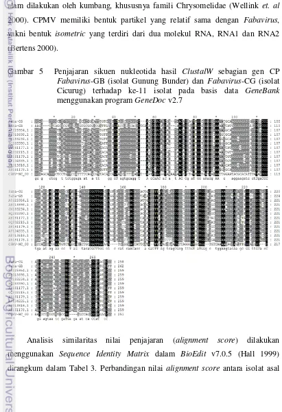 Gambar 5  Penjajaran sikuen nukleotida hasil ClustalW sebagian gen CP 