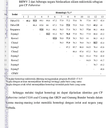 Tabel 3  Tingkat homologi isolat Cicurug dan Gunung Bunder dengan isolat 
