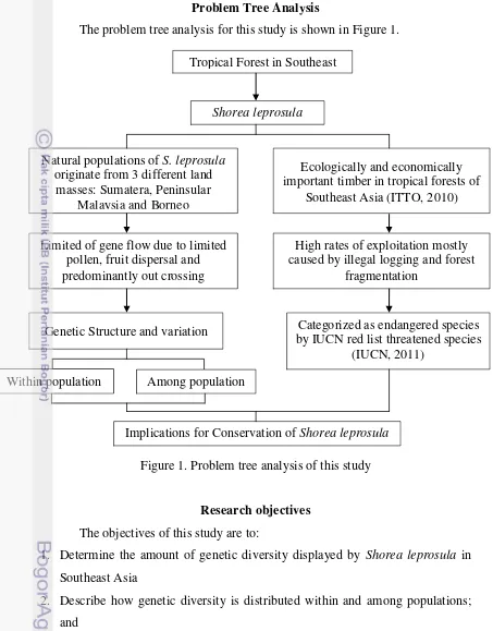 Figure 1. Problem tree analysis of this study 