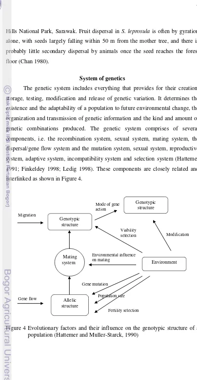 Figure 4 Evolutionary factors and their influence on the genotypic structure of a 