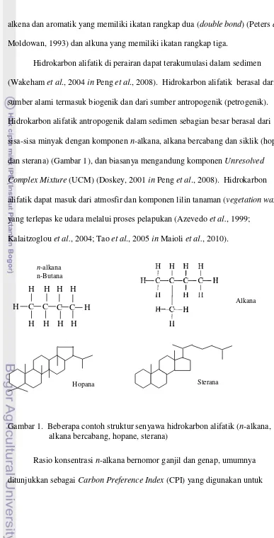 Gambar 1.  Beberapa contoh struktur senyawa hidrokarbon alifatik (n-alkana,  