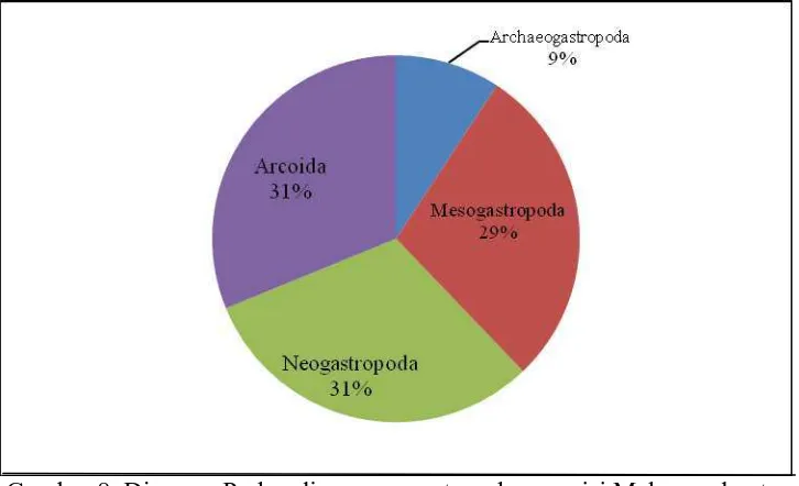 Gambar 8. Diagram Perbandingan persentase  komposisi Makrozoobentos   pada bulan Mei hingga Juni 2015