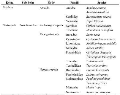 Tabel 4. Klasifikasi Makrozoobentos yang di peroleh dari Setiap Stasiun Penelitian. 