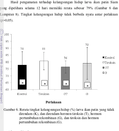 Gambar 6. Rerata tingkat kelangsungan hidup (%) larva ikan patin yang tidak  