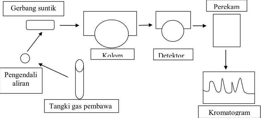 Gambar 2.4 Skematis Alat Kromatografi Gas 