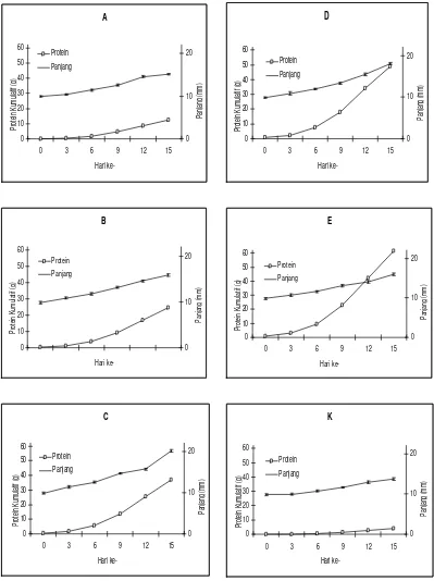 Gambar 6. Pemberian protein kumulatif asal silase Artemia terhadap panjang udang windu stadium PL 7 – PL 20 pada berbagai dosis : (A)