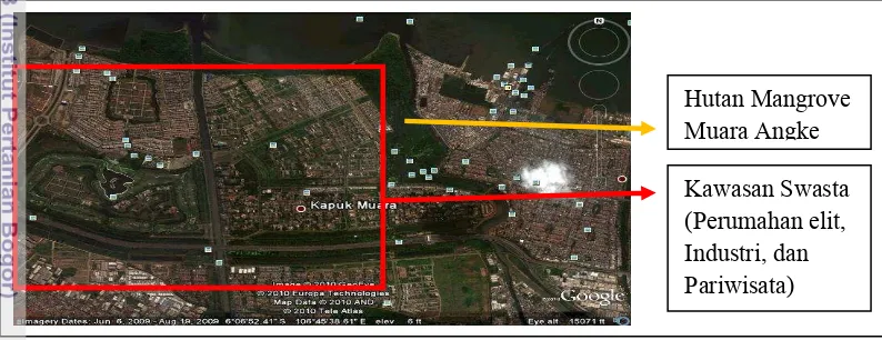 Gambar 5. Kawasan Hutan Mangrove Muara Angke di Tengah Pembangunan 