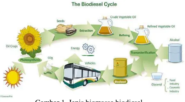 Gambar 1. Jenis biomassa biodiesel  