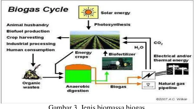 Gambar 3. Jenis biomassa biogas  