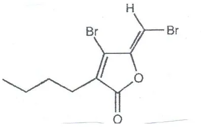 Gambar 4. Struktur C4-HSL 