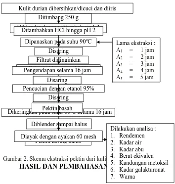 Gambar 2. Skema ekstraksi pektin dari kulit durian HASIL DAN PEMBAHASAN 4.5.  Berat ekivalen Kandungan metoksil 