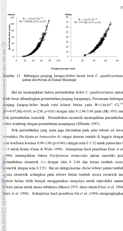 Gambar 12  Hubungan panjang karapas-bobot basah total C. quadricarinatus 