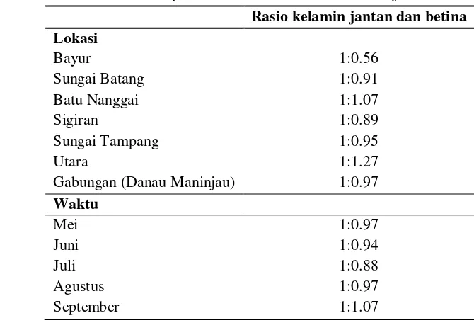Tabel 10  Rasio kelamin C. quadricarinatus di Danau Maninjau 
