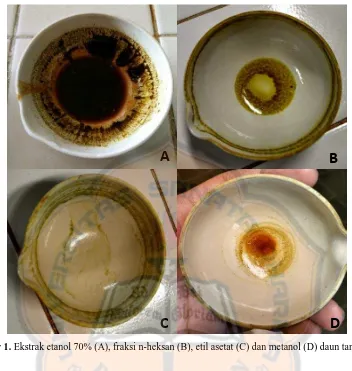 Gambar 1. Ekstrak etanol 70% (A), fraksi n-heksan (B), etil asetat (C) dan metanol (D) daun tanduk rusa 