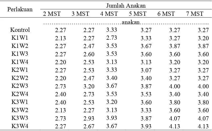 Tabel 2. Rataan jumlah anakan bawang merah pada umur 2 – 7 MST  akibat perlakuan waktu aplikasi dan konsentrasi pupuk KNO3 