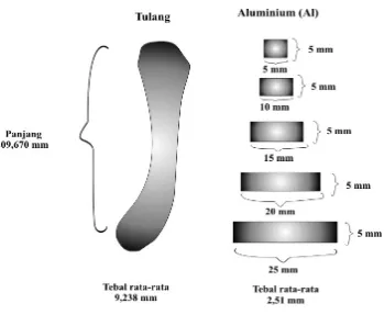 Gambar 3.5 Sketsa material tulang dan aluminium (AL) 