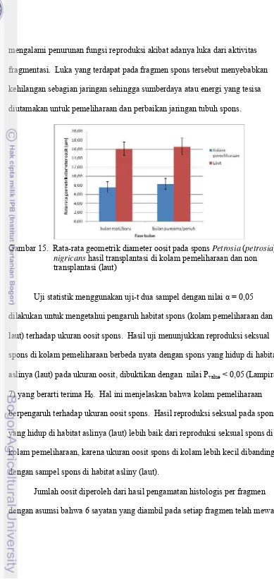 Gambar 15.  Rata-rata geometrik diameter oosit pada spons Petrosia (petrosia) 