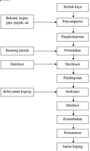 Gambar 4.2. Proses Budidaya Jamur Kuping 