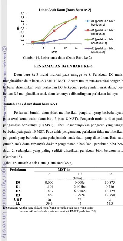 Tabel 12. Jumlah Anak Daun (Daun Baru ke-3) 