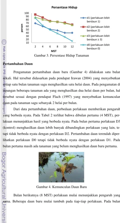 Gambar 3. Persentase Hidup Tanaman 