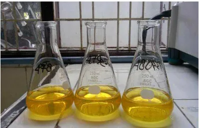 Gambar 8 : Perubahan warna yang terjadi pada sampel Air Minum yaitu kuning kemerahan pada Titik Akhir Titrasi setelah di titrasi dengan larutan AgNO3 0,0141 N 