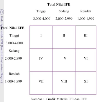 Gambar 1. Grafik Matriks IFE dan EFE 