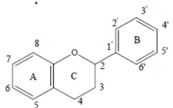 Gambar 2. Struktur dasar flavonoid (Apak dkk., 2007) 
